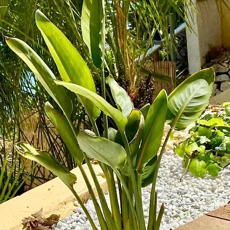 Villa Maryvilla Amazing Sea View Villagranto